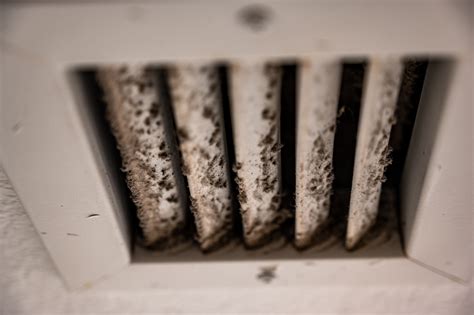 How to Get Mold Out of Air Conditioner: A Comprehensive Guide & Unexpected Insights on Indoor Air Quality